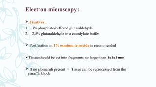 Electron microscopy :
 Fixatives :
1. 3% phosphate-buffered glutaraldehyde
2. 2.5% glutaraldehyde in a cacodylate buffer
 Postfixation in 1% osmium tetroxide is recommended
Tissue should be cut into fragments no larger than 1x1x1 mm
 If no glomeruli present  Tissue can be reprocessed from the
paraffin block
 