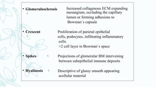 • Glomerulosclerosis

Increased collagenous ECM expanding
mesangium, occluding the capillary
lumen or forming adhesions to
Bowman`s capsule
• Crescent

Proliferation of parietal epithelial
cells, podocytes, infiltrating inflammatory
cells.
>2 cell layer in Bowman`s space
• Spikes  Projections of glomerular BM intervening
between subepithelial immune deposits
• Hyalinosis  Descriptive of glassy smooth appearing
acellular material
 