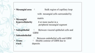 • Mesangial area  Stalk region of capillary loop
with mesangial cells surrounded by
matrix
• Mesangial
hypercellularity

4 or more nuclei in a
peripheral mesangial segment
• Subepithelial
• Subendothelial
 Between visceral epithelial cells and
GBM
 Between endothelial cells and GBM
• Tram-
track
 Double contour of GBM due to
deposits
 