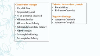 Glomerular changes
• Focal/diffuse
• Segmental/global
• % of glomeruli involved
• Glomerular size
• Glomerular cellularity
• Glomerular capillary potency
• GBM changes
• Mesangial widening
• Mesangial cellularity
Tubules, interstitium ,vessels
• Focal/diffuse
• Estimate of severity
Negative findings
• Absence of necrosis
• Absence of amyloid
 