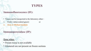 TYPES
Immunofluorescence (IF):
• Tissues can be transported to the laboratory either :
1. Fresh ( saline-soaked gauze) or
2. Zeus or Michael medium
Immunoperoxidase (IP):
Done when :
• Frozen tissue is not available
• Glomeruli are not present on frozen sections
 
