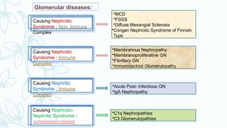 Glomerular diseases:
Causing Nephrotic
Syndrome : Non- Immune
Complex
Causing Nephrotic
Syndrome : Immune
Complex
Causing Nephritic
Syndrome : Immune
Complex
Causing Nephrotic-
Nephritic Syndrome :
complement related
•Acute Post- Infectious GN
•IgA Nephropathy
•MCD
•FSGS
•Diffuse Mesangial Sclerosis
•Congen Nephrotic Syndrome of Finnish
Type
•Membranous Nephropathy
•Membranoproliferative GN
•Fibrillary GN
•Immunotactoid Glomerulopathy
•C1q Nephropathies
•C3 Glomerulopathies
 