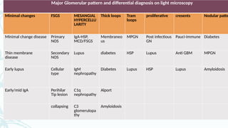 Major Glomerular pattern and differential diagnosis on light microscopy
Minimal changes FSGS MESANGIAL
HYPERCELLU
LARITY
Thick loops Tram
loops
proliferative cresents Nodular patte
Minimal change disease Primary
NOS
IgA-HSP,
MCD/FSGS
Membraneo
us
MPGN Post infectious
GN
Pauci-immune Diabetes
Thin membrane
disease
Secondary
NOS
Lupus diabetes HSP Lupus Anti GBM MPGN
Early lupus Cellular
type
IgM
nephropathy
Diabetes Lupus HSP Lupus Amyloidosis
Early/mid IgA Perihilar
Tip lesion
C1q
nephropathy
Alport
collapsing C3
glomerulopa
thy
Amyloidosis
 