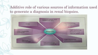 Additive role of various sources of information used
to generate a diagnosis in renal biopsies.
 