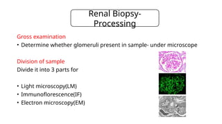 Sample Devide Refler Retch Comprehensive Guide to Renal Biopsy: Techniques and Pathology | PPTX