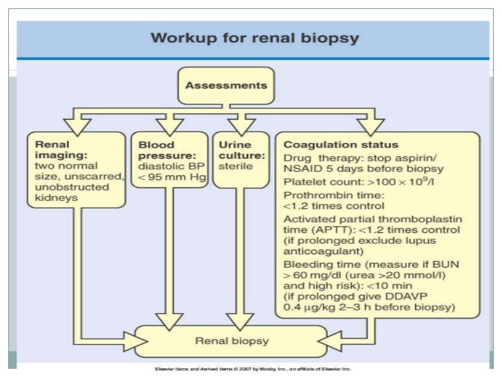 Renal biopsy seminar
