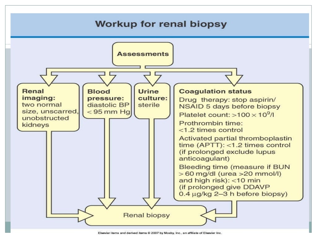 Renal biopsy seminar