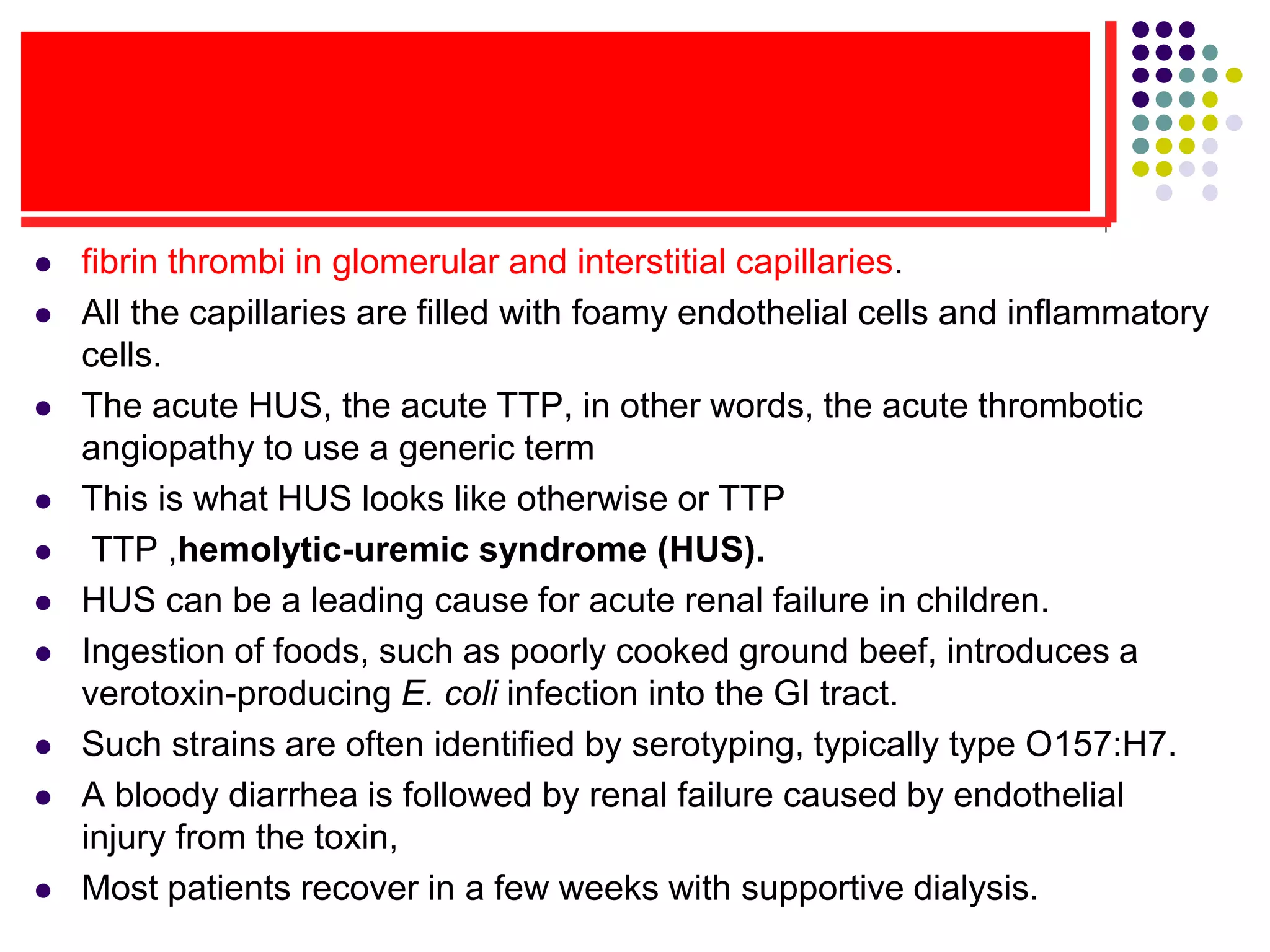  fibrin thrombi in glomerular and interstitial capillaries.
 All the capillaries are filled with foamy endothelial cells and inflammatory
cells.
 The acute HUS, the acute TTP, in other words, the acute thrombotic
angiopathy to use a generic term
 This is what HUS looks like otherwise or TTP
 TTP ,hemolytic-uremic syndrome (HUS).
 HUS can be a leading cause for acute renal failure in children.
 Ingestion of foods, such as poorly cooked ground beef, introduces a
verotoxin-producing E. coli infection into the GI tract.
 Such strains are often identified by serotyping, typically type O157:H7.
 A bloody diarrhea is followed by renal failure caused by endothelial
injury from the toxin,
 Most patients recover in a few weeks with supportive dialysis.
 
