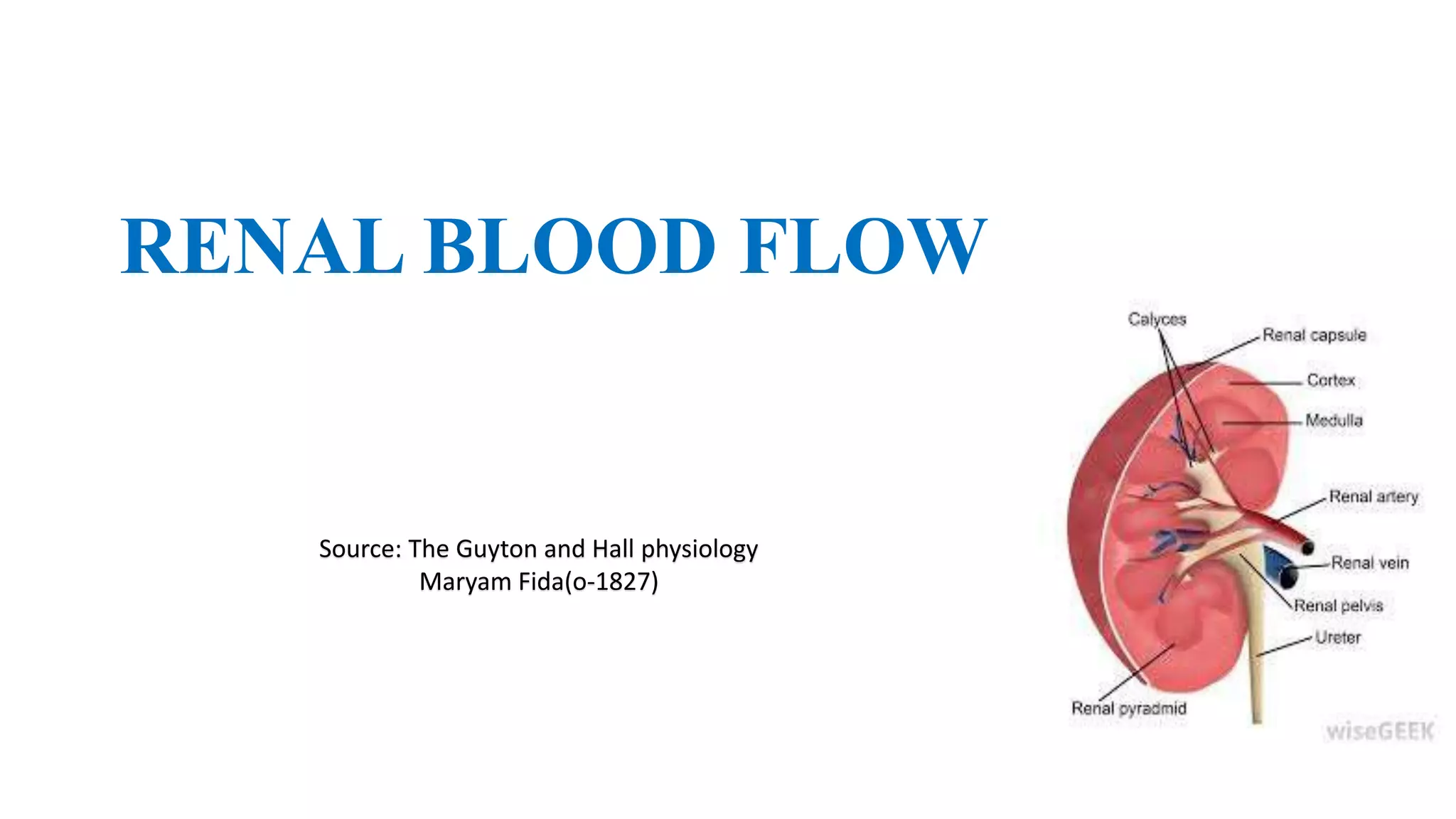Renal blood flow (The Guyton and Hall physiology) PPT