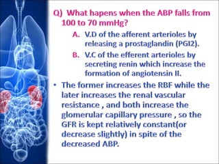 Renal blood flow.pptx