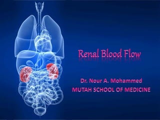 Renal blood flow.pptx