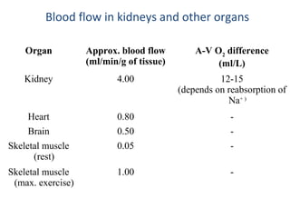 Blood flow in kidneys and other organs
Organ Approx. blood flow
(ml/min/g of tissue)
A-V O2
difference
(ml/L)
Kidney 4.00 12-15
(depends on reabsorption of
Na+ )
Heart 0.80 -
Brain 0.50 -
Skeletal muscle
(rest)
0.05 -
Skeletal muscle
(max. exercise)
1.00 -
 