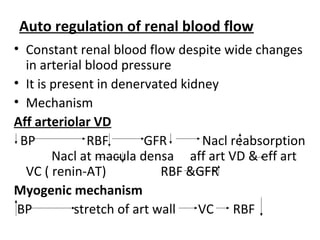 Auto regulation of renal blood flow
• Constant renal blood flow despite wide changes
in arterial blood pressure
• It is present in denervated kidney
• Mechanism
Aff arteriolar VD
BP RBF GFR Nacl reabsorption
Nacl at macula densa aff art VD & eff art
VC ( renin-AT) RBF &GFR
Myogenic mechanism
BP stretch of art wall VC RBF
 