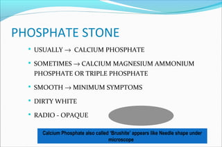 PHOSPHATE STONE
 USUALLY → CALCIUM PHOSPHATE
 SOMETIMES → CALCIUM MAGNESIUM AMMONIUM
PHOSPHATE OR TRIPLE PHOSPHATE
 SMOOTH → MINIMUM SYMPTOMS
 DIRTY WHITE
 RADIO - OPAQUE
Calcium Phosphate also called ‘Brushite’ appears like Needle shape under
microscope
 