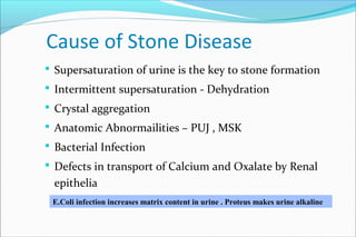 Cause of Stone Disease
 Supersaturation of urine is the key to stone formation
 Intermittent supersaturation - Dehydration
 Crystal aggregation
 Anatomic Abnormailities – PUJ , MSK
 Bacterial Infection
 Defects in transport of Calcium and Oxalate by Renal
epithelia
E.Coli infection increases matrix content in urine . Proteus makes urine alkaline
 