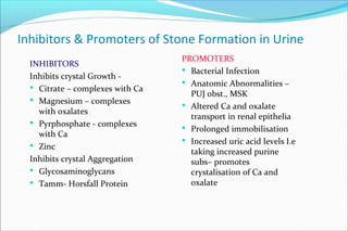 Inhibitors & Promoters of Stone Formation in Urine
INHIBITORS
Inhibits crystal Growth -
 Citrate – complexes with Ca
 Magnesium – complexes
with oxalates
 Pyrphosphate - complexes
with Ca
 Zinc
Inhibits crystal Aggregation
 Glycosaminoglycans
 Tamm- Horsfall Protein
PROMOTERS
 Bacterial Infection
 Anatomic Abnormalities –
PUJ obst., MSK
 Altered Ca and oxalate
transport in renal epithelia
 Prolonged immobilisation
 Increased uric acid levels I.e
taking increased purine
subs– promotes
crystalisation of Ca and
oxalate
 
