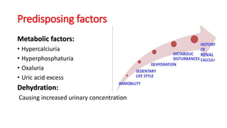 Predisposing factors
Metabolic factors:
• Hypercalciuria
• Hyperphosphaturia
• Oxaluria
• Uric acid excess
Dehydration:
Causing increased urinary concentration
 