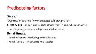 Predisposing factors
Stasis:
Obstruction to urine flow encourages salt precipitation
Urinary pH:Uric acid and oxalate stones form in an acidic urine,while
the phophate stones develop in an alkaline urine
Renal disease:
Renal infections(producing urine alkaline)
Renal Tumors (producing renal stasis)
 