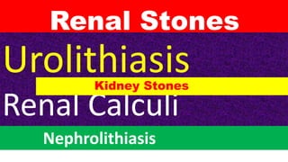 Renal Stones
Urolithiasis
Renal Calculi
Nephrolithiasis
Kidney Stones
 