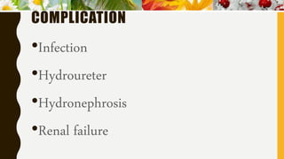 COMPLICATION
•Infection
•Hydroureter
•Hydronephrosis
•Renal failure
 