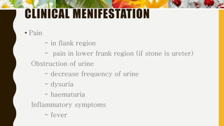 CLINICAL MENIFESTATION
• Pain
- in flank region
- pain in lower frank region (if stone is ureter)
Obstruction of urine
- decrease frequency of urine
- dysuria
- haematuria
Inflammatory symptoms
- fever
 