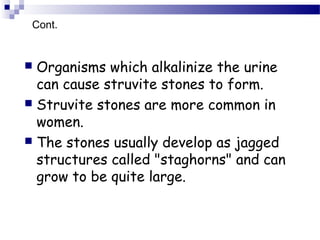 Cont.
 Organisms which alkalinize the urine
can cause struvite stones to form.
 Struvite stones are more common in
women.
 The stones usually develop as jagged
structures called "staghorns" and can
grow to be quite large.
 