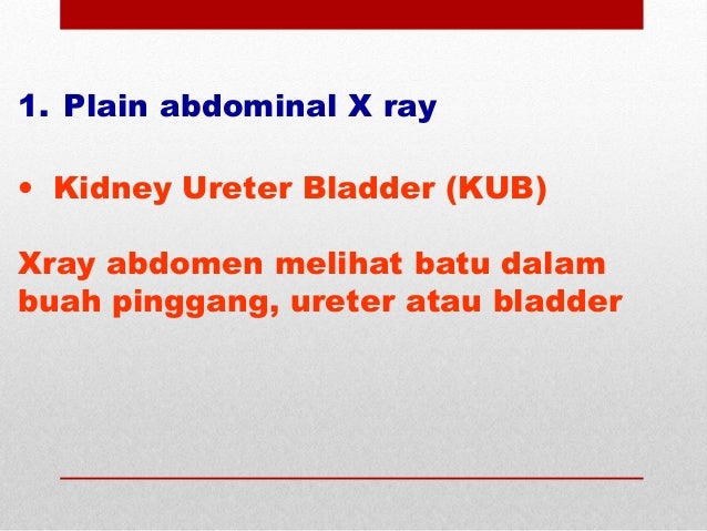 RENAL CALCULI - Batu karang dalam salur kencing RENAL CALCULI - Batu karang dalam salur kencing