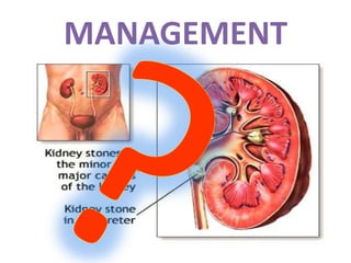 Renal calculi ppt