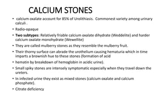 CALCIUM STONES
• calcium oxalate account for 85% of Urolithiasis. Commonest variety among urinary
calculi .
• Radio-opaque
• Two subtypes: Relatively friable calcium oxalate dihydrate (Weddelite) and harder
calcium oxalate monohydrate (Wewellite)
• They are called mulberry stones as they resemble the mulberry fruit.
• Their thorny surface can abrade the urothelium causing hematuria which in time
imparts a brownish hue to these stones (formation of acid
• hematin by breakdown of hemoglobin in acidic urine).
• Small spiky stones are intensely symptomatic especially when they travel down the
ureters.
• In infected urine they exist as mixed stones (calcium oxalate and calcium
phosphate).
• Citrate deficiency
 