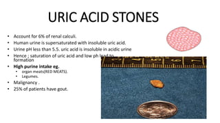 URIC ACID STONES
• Account for 6% of renal calculi.
• Human urine is supersaturated with insoluble uric acid.
• Urine pH less than 5.5. uric acid is insoluble in acidic urine
• Hence ; saturation of uric acid and low ph lead to
formation
• High purine intake eg.
• organ meats(RED MEATS).
• Legumes.
• Malignancy .
• 25% of patients have gout.
 
