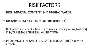 RISK FACTORS
• HIGH MINERAL CONTENT IN DRINKING WATER.
• DIETARY INTAKE ( vit d, meat consumption)
• UTI(protease and klebsiela are ureas predisposing factors)
& H/O FEMALE GENITAL MUTILATION.
• PROLONGED INDWELLING CATHETERISATION ( bacteria
attach )
 
