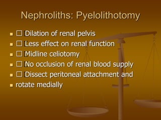 Nephroliths: Pyelolithotomy
 􀂄 Dilation of renal pelvis
 􀂄 Less effect on renal function
 􀂄 Midline celiotomy
 􀂄 No occlusion of renal blood supply
 􀂄 Dissect peritoneal attachment and
 rotate medially
 