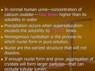  In normal human urine—concentration of
calcium oxalate--- four times higher than its
solubility in water
 Precipitation occurs when supersaturation
exceeds the solubility by 7 to 11 times.
 Homogenous nucleation is the process by
which nuclei form in pure solution.
 Nuclei are the earliest structure that will not
dissolve.
 If enough nuclei form and grow ,aggregation of
crystals will form larger particles—that can
occlude tubular lumen.
 