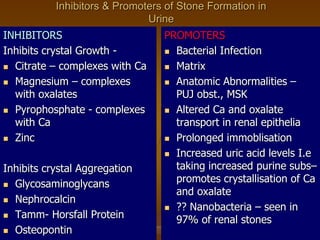 Inhibitors & Promoters of Stone Formation in
Urine
INHIBITORS
Inhibits crystal Growth -
 Citrate – complexes with Ca
 Magnesium – complexes
with oxalates
 Pyrophosphate - complexes
with Ca
 Zinc
Inhibits crystal Aggregation
 Glycosaminoglycans
 Nephrocalcin
 Tamm- Horsfall Protein
 Osteopontin
PROMOTERS
 Bacterial Infection
 Matrix
 Anatomic Abnormalities –
PUJ obst., MSK
 Altered Ca and oxalate
transport in renal epithelia
 Prolonged immoblisation
 Increased uric acid levels I.e
taking increased purine subs–
promotes crystallisation of Ca
and oxalate
 ?? Nanobacteria – seen in
97% of renal stones
 