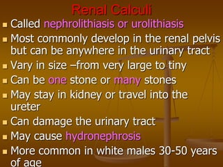 Renal Calculi
 Called nephrolithiasis or urolithiasis
 Most commonly develop in the renal pelvis
but can be anywhere in the urinary tract
 Vary in size –from very large to tiny
 Can be one stone or many stones
 May stay in kidney or travel into the
ureter
 Can damage the urinary tract
 May cause hydronephrosis
 More common in white males 30-50 years
of age
 