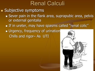Renal Calculi
 Subjective symptoms
 Sever pain in the flank area, suprapubic area, pelvis
or external genitalia
 If in ureter, may have spasms called “renal colic”
 Urgency, frequency of urination
Chills and rigor– As UTI
 