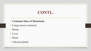 CONTI..
• Common Sites of Metastasis
• Lungs (most common)
• Bones
• Liver
• Brain
• Adrenal glands
 