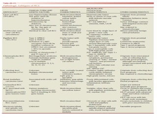 Renal carcinoma and its managment.pptx new | PPTX