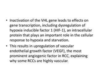 • Inactivation of the VHL gene leads to effects on
gene transcription, including dysregulation of
hypoxia inducible factor 1 (HIF-1), an intracellular
protein that plays an important role in the cellular
response to hypoxia and starvation.
• This results in upregulation of vascular
endothelial growth factor (VEGF), the most
prominent angiogenic factor in RCC, explaining
why some RCCs are highly vascular.
 
