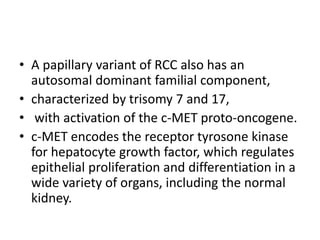 • A papillary variant of RCC also has an
autosomal dominant familial component,
• characterized by trisomy 7 and 17,
• with activation of the c-MET proto-oncogene.
• c-MET encodes the receptor tyrosone kinase
for hepatocyte growth factor, which regulates
epithelial proliferation and differentiation in a
wide variety of organs, including the normal
kidney.
 