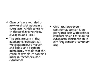  Clear cells are rounded or
polygonal with abundant
cytoplasm, which contains
cholesterol, triglycerides,
glycogen, and lipids.
 The cells present in the
papillary (chromophilic)
typecontain less glycogen
and lipids, and electron
microscopy reveals that the
granular cytoplasm contains
many mitochondria and
cytosomes.
• Chromophobe-type
carcinomas contain large
polygonal cells with distinct
cell borders and reticulated
cytoplasm, which can stain
diffusely withHale’s colloidal
iron .
 