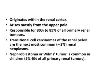 • Originates within the renal cortex.
• Arises mostly from the upper pole.
• Responsible for 80% to 85% of all primary renal
tumours.
• Transitional cell carcinomas of the renal pelvis
are the next most common (∼8%) renal
neoplasms.
• Nephroblastoma or Wilms' tumor is common in
children (5%-6% of all primary renal tumors).
 