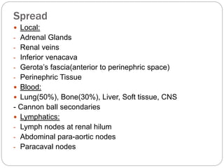 Spread
 Local:
- Adrenal Glands
- Renal veins
- Inferior venacava
- Gerota’s fascia(anterior to perinephric space)
- Perinephric Tissue
 Blood:
 Lung(50%), Bone(30%), Liver, Soft tissue, CNS
- Cannon ball secondaries
 Lymphatics:
- Lymph nodes at renal hilum
- Abdominal para-aortic nodes
- Paracaval nodes
 