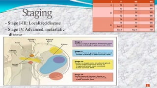 Staging
1
6
I T1 N0 M0
II T2 N0 M0
III
T3 N0 M0
T1 N1 M0
T2 N1 M0
IV
T4 N0 M0
T4 N1 M0
Any T N2 M0
Any T Any N M1
- Stage I-III: Localized disease
- Stage IV:Advanced, metastatic
disease
 