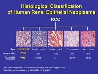 Rcc Classification Renal Cell Carcinoma A New Standard Of Care | PPT