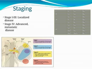 RENAL CELL CARCINOMA PATHOGENESIS AND CLASSIFICATION | PPTX