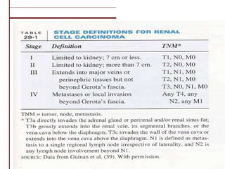 Renal Cell Carcinoma Diagnosis And Management | PPT