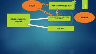 Mucinous Rcc RENAL CELL TUMOR PART-1 ( recent updates) | PPTX