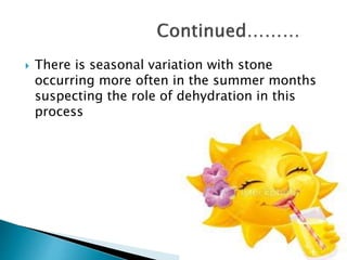  There is seasonal variation with stone 
occurring more often in the summer months 
suspecting the role of dehydration in this 
process 
 