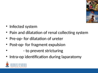 Comprehensive Overview of Renal Colic and Urolithiasis Management | PPTX